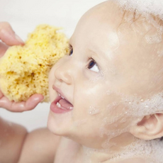 뷰티풀스킨천연해면스펀지