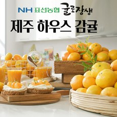 제주농협귤로장생
