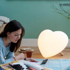 미스터마리아미피