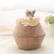 마이아집사