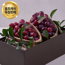 [국내 첫출시] 한정판 자수정 보석 포도 '로얄바인' 1등급 (650g 이상*2입), 1개