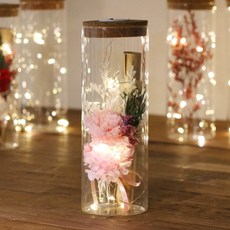 LED 유리병 프리저브드 카네이션 꽃다발 편지지 세트, 소프트핑크 소프트핑크