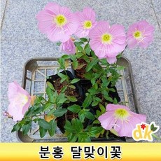 cbb7fdac449f3770b23879eea8287d266228ad5b0f690d6be7f5cdee3af9.jpg