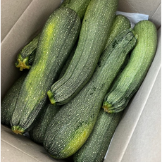 국내산) 감칠맛 쥬키니호박 돼지호박 서양호박 쥬키니못난이호박, 1개, 5kg 못난이호박(상)