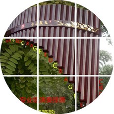 팬플루트 .서호 라임-22관 참대 팬파이프 ..메인관 C.D등 .연주급, T13-대추색 .C.D.