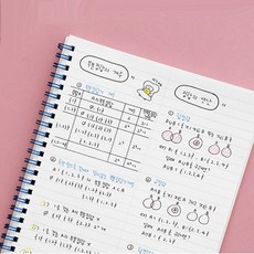 수학어떻게문제를풀것인가