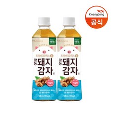 [KT알파쇼핑]광동 돼지감자차 500ml x 24pet, 24개