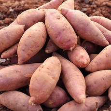 [히동이네] 산지직송 황토밭재배 영암 꿀고구마 중 5kg, 상세 설명 참조