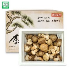 젊은농부 무농약 송화버섯 1kg 일반형 선물세트, 1개