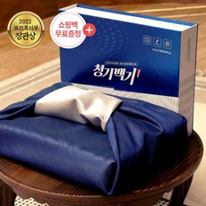 추천4 청기백기