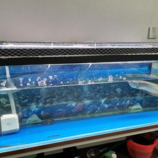 탈부착 점핑 용품 가벼운 어류 수조 메쉬 그물 도망 패드 어항 덮개 네트, 40 곱하기 40cm-F27, 1개