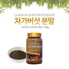 차가버섯분말 가루 베타글루칸 러시아차가버섯 차가버섯차 끓이는법 먹는방법 추천 시베리아 자작나무 차가버섯, 120g, 1병