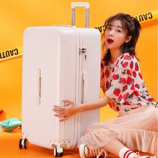 이민가방50인치