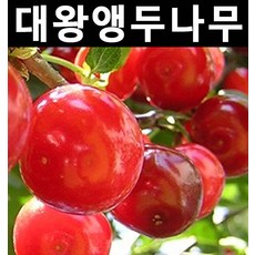161daab525cbe5ee8dea17443f8211251eba1a5b4fb8cb3612e14868e3f1.jpg
