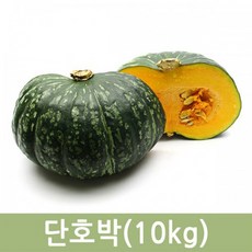 두리반농산 수입 단호박 10kg내외 (10~12수내외), 1박스