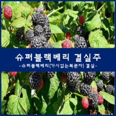 ac2c096b6bf9e3a2fa13452769e67fc72f56a87552fb3f92aee50dfc9fa1.png