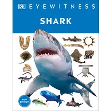 (영문도서) Shark: Dive Into the Fascinating World of Sharks Hardcover, DK Publishing (Dorling Kind..., English, 9780744056419