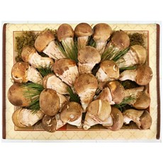 수확 후발송 고급 참송이버섯 금송세트 송이뜰농장, 1박스, 1kg
