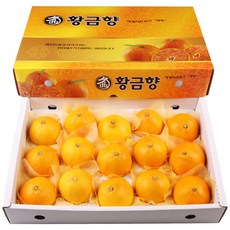 제주황금향생산자유은이