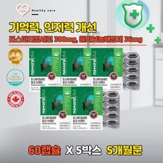 인지기능향상