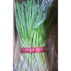 국내산 포항 해풍 맞은 쪽파 깐쪽파 잔파 실파 손질 다듬은 쪽파, 1개, 1kg