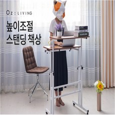수동스탠딩데스크