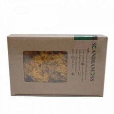 플라워디퓨저원데이클래스