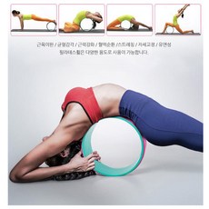 김창희전공체육