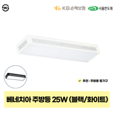ledvance주방등