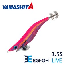 401e3581d50f498f3bd1a430a8a17b3bac250ffa3c5fae1fe64bd45479a3.jpg