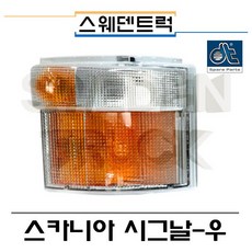 스카니아핀홀카메라
