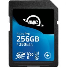 OWC 아틀라스 프로 256GB SDXCUHS-II V60 미디어 카드, Black, 256 GB
