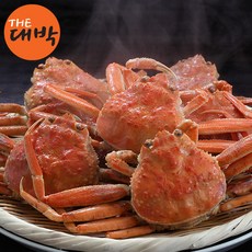 대게선어