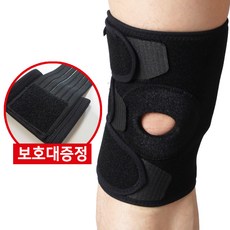 농구골프축구대