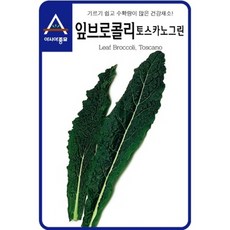 잎브로콜리씨앗 토스카노 뉴그린(1000립) S2268