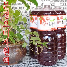 초록사랑 문경오미자원액 오미자엑기스, 2개, 1.8L