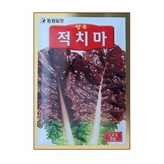 가을상추