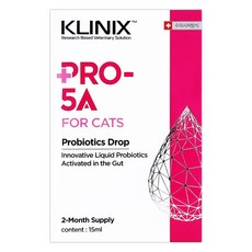 프로파이브에이