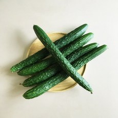 오이한박스