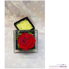 레스토랑프로포즈