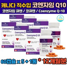 에이플러스코큐텐