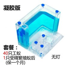 개미집 개미 공방 성 장원 별장 농장 관찰 케이스매우 빅사이즈 포장 2020, T07-S23-블루 램프 45작업+1뒤)번식 버전
