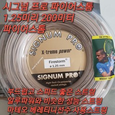 시그넘프로파이어스톰