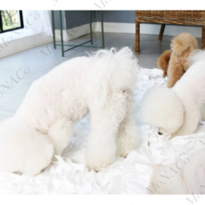 먼지없는노즈워크