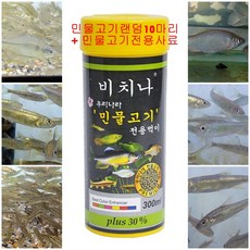 민물고기(랜덤) 6마리+민물고기 전용사료, 1set