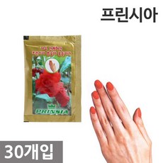 봉숭아물들이기