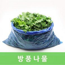 싱싱한 방풍나물4kg 웰빙채소 싱싱지오