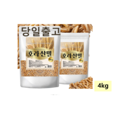 (빠른배송)24년 통관 카뮤트 호라산밀 4kg(2kg+2kg) 쌀 고대곡물 햇상품 카무트 카무트쌀 호라산 카무트곡물 키무트 산밀 국산카무트 곡물마켓호라산밀