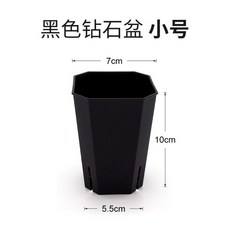 26c5467c92d9ed1a15c9e47a376817d1727322e31c371978a64a3515a0e6.jpg