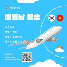 베트남특송